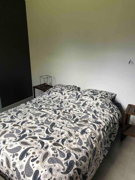 Suite Independante Au Coeur D'Un Jardin Arbore. Montaut  Ngoại thất bức ảnh