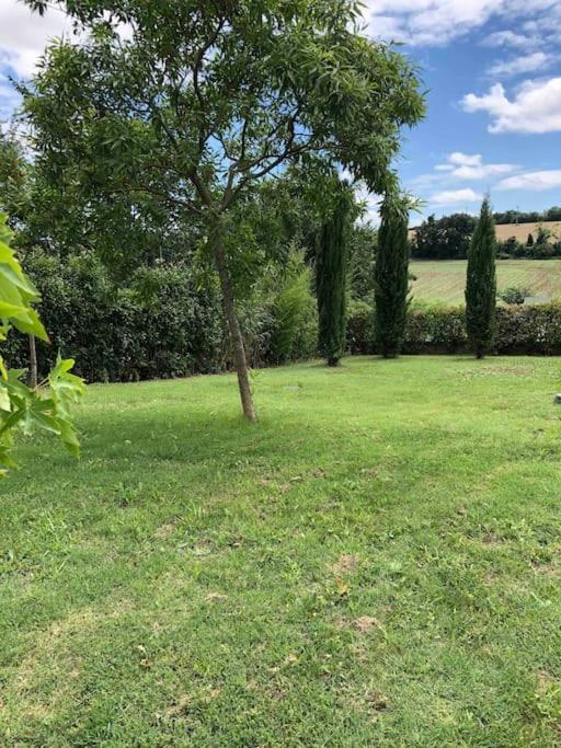 Suite Independante Au Coeur D'Un Jardin Arbore. Montaut  Ngoại thất bức ảnh